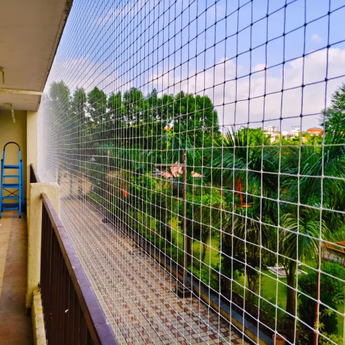 fine-bird-netting-service-bawadia-kalan-bhopal-bird-netting-services-66k6lhkgce